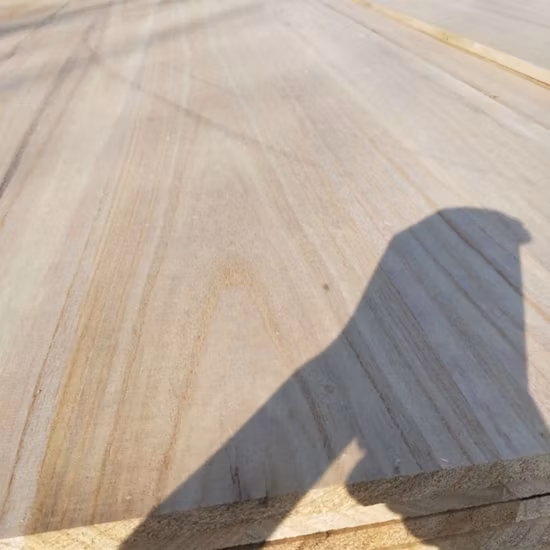 Tavola da surf prezzo all'ingrosso in legno di Paulownia 1220 * 2440mm, anima in legno da sci